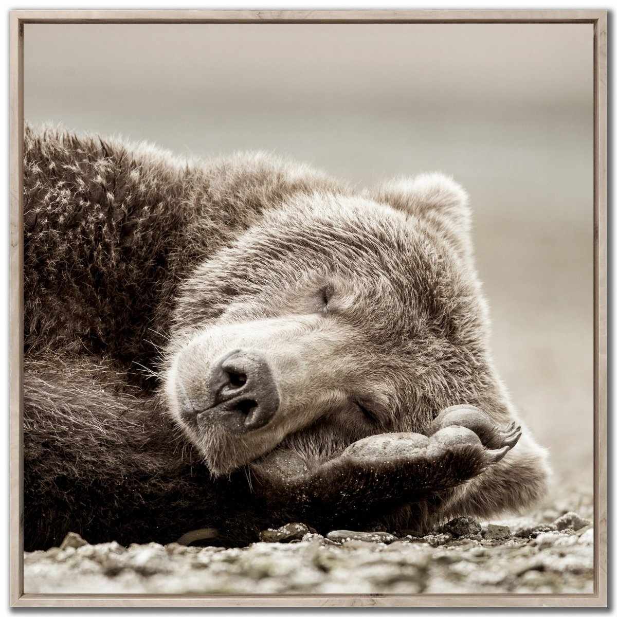 FY25 SLEEPING BEAR 36 X 36 WALL ART | Tepperman's